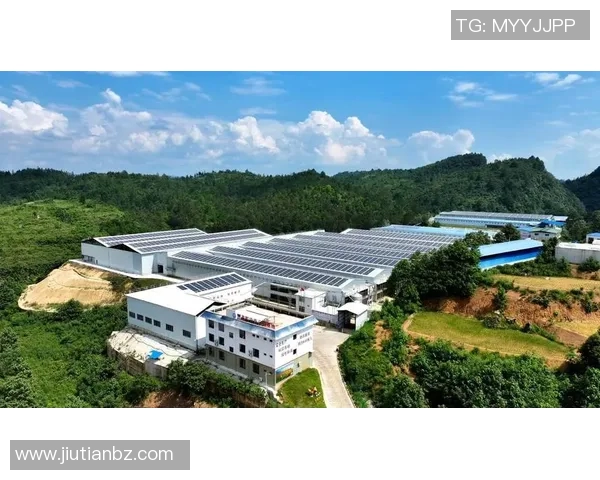 广州攀岩队创新运营模式探索与发展路径的深度分析与展望 广州攀岩队创新运营模式探索与发展路径的深度分析与展望