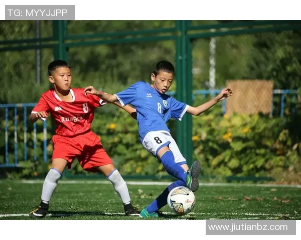张丽的排球人生:从梦想起航到赛场辉煌的深度对话
